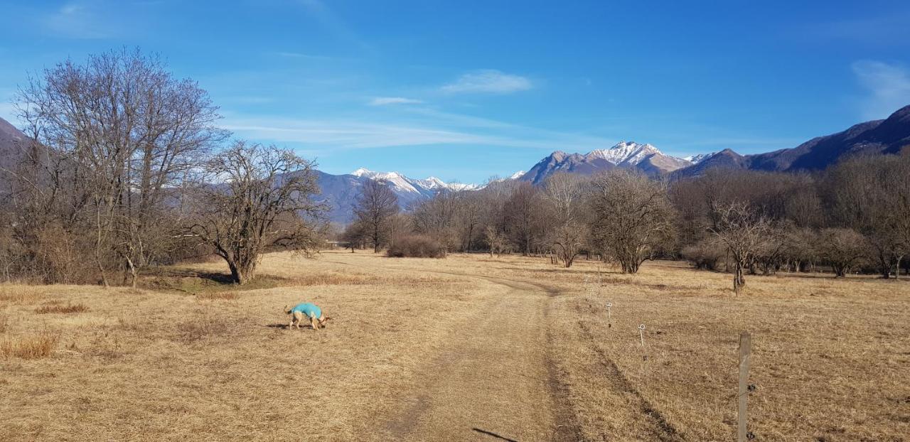 Appartamento Di Vacanza Casa Leoni Verscio Exterior foto